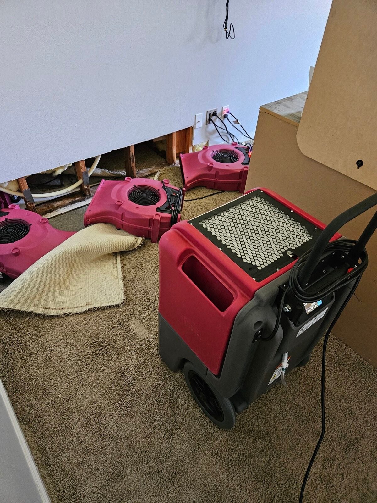 Air movers and a dehumidifier drying an opened lower wall and lifted carpet in Merced.